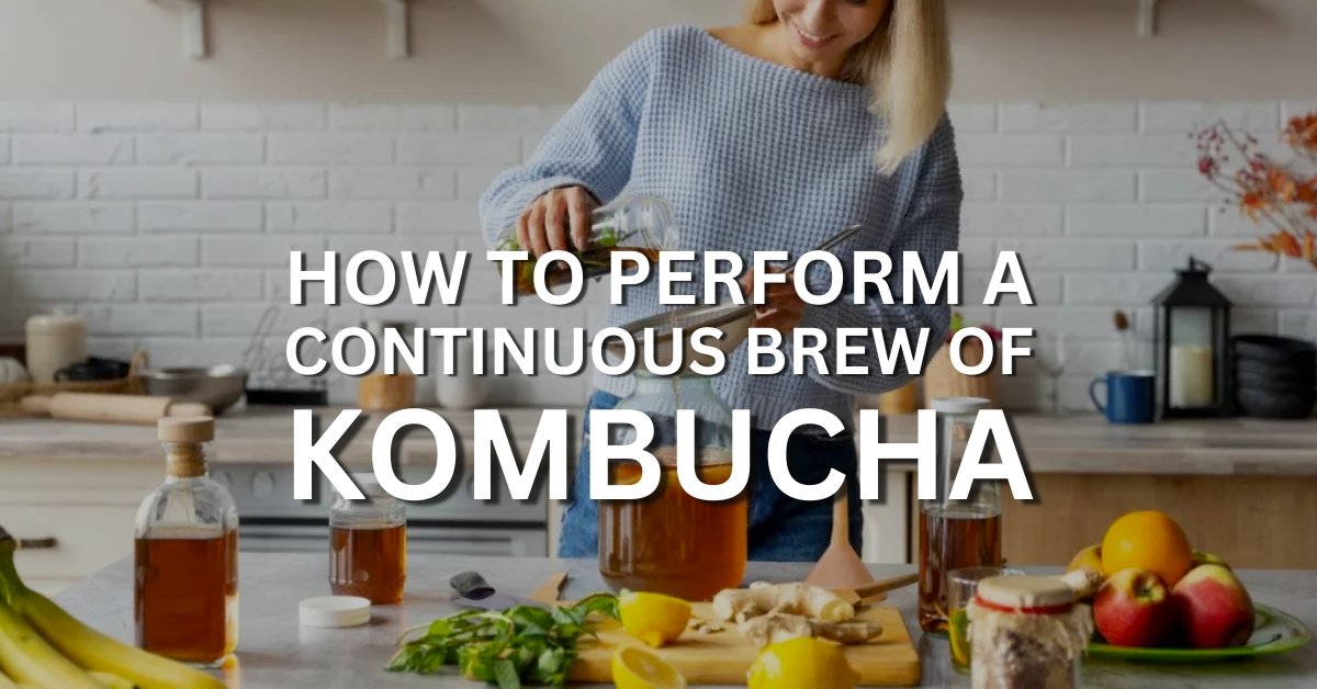 how to perform a continuous brew of kombucha