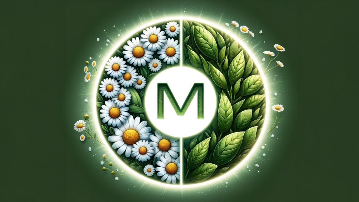 Magnesium L-Threonat Apigenin and L-Theanine for Sleep