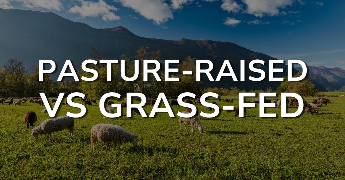 pasture raised vs grass fed
