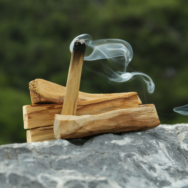 Regenerative Palo Santo Sticks - Image 5