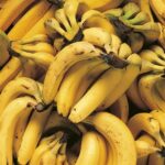 Fruit Tallow Lip Balm - Banana Bread