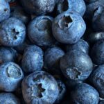 Fruit Tallow Lip Balm - Blueberry