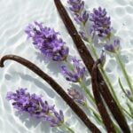 Conditioner Bar - Lavender Vanilla