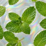 Tallow Lip Balm - Mint