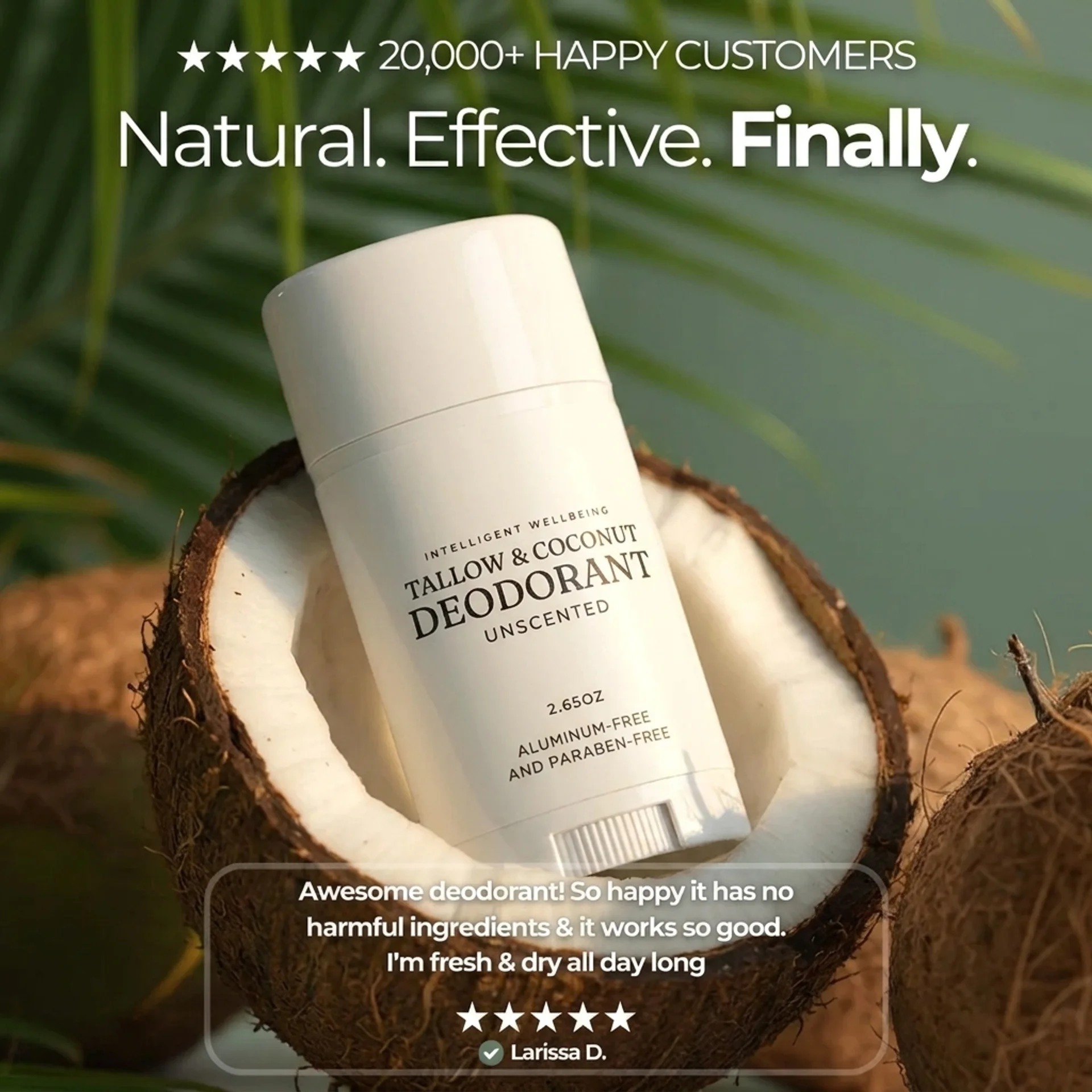 Tallow & Coconut Deodorant - Image 3