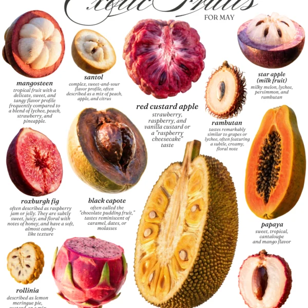 Exotic Fruits for May Poster