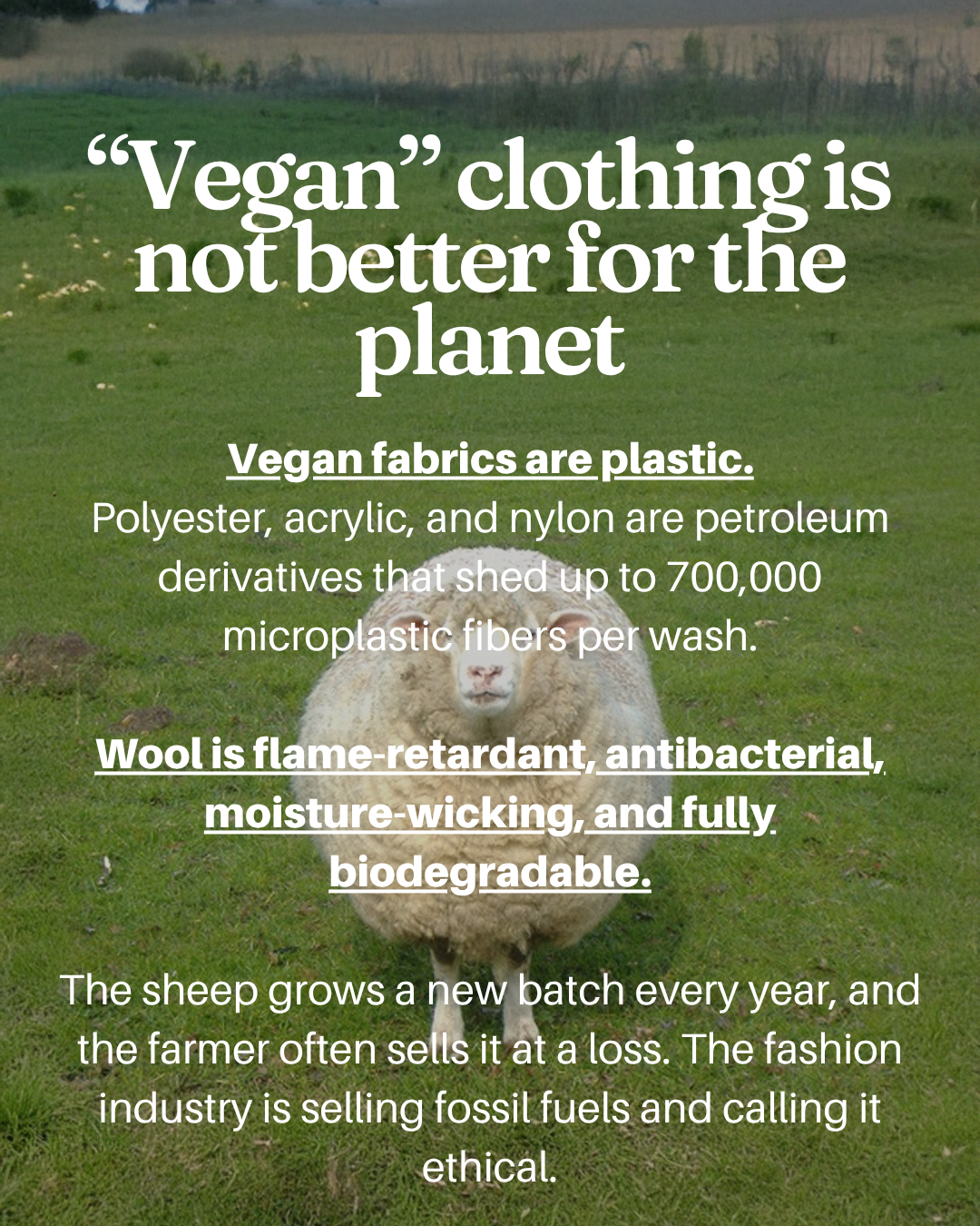 Graphic reading Vegan clothing is not better for the planet, with a sheep standing in a green field