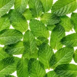 Natural Toothpaste - Peppermint