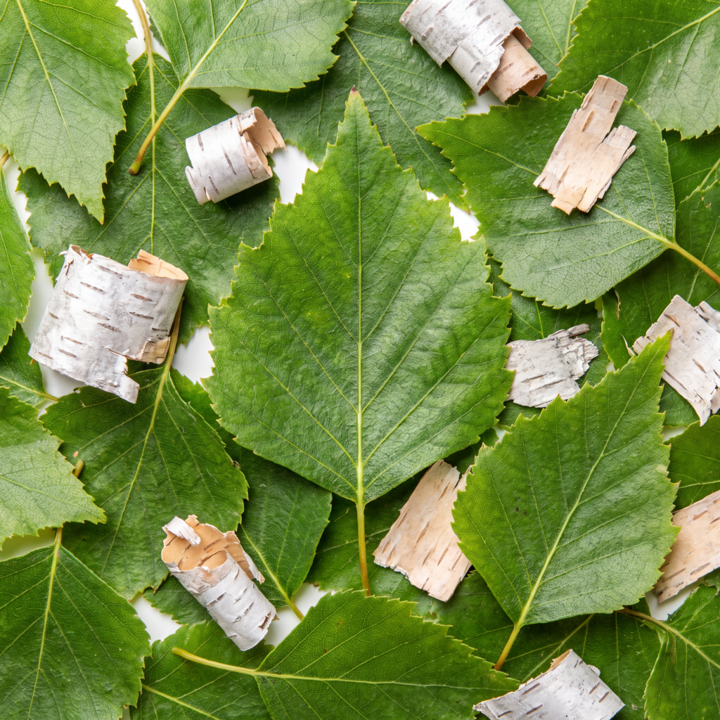 Xylitol